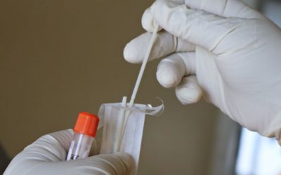 Rapid PCR Test: Get Tested for COVID, Flu, & RSV with Single Test
